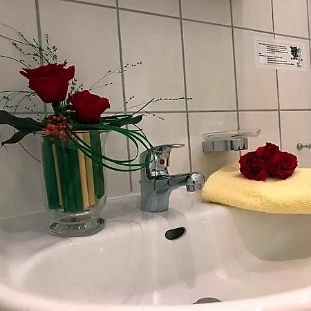 Hotel Thermen Holstein 3*
